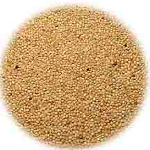 Amaranth Grain